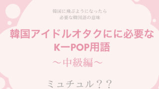韓国アイドルオタクに必要なk Pop用語集 初級編 韓国でアイドルを追う